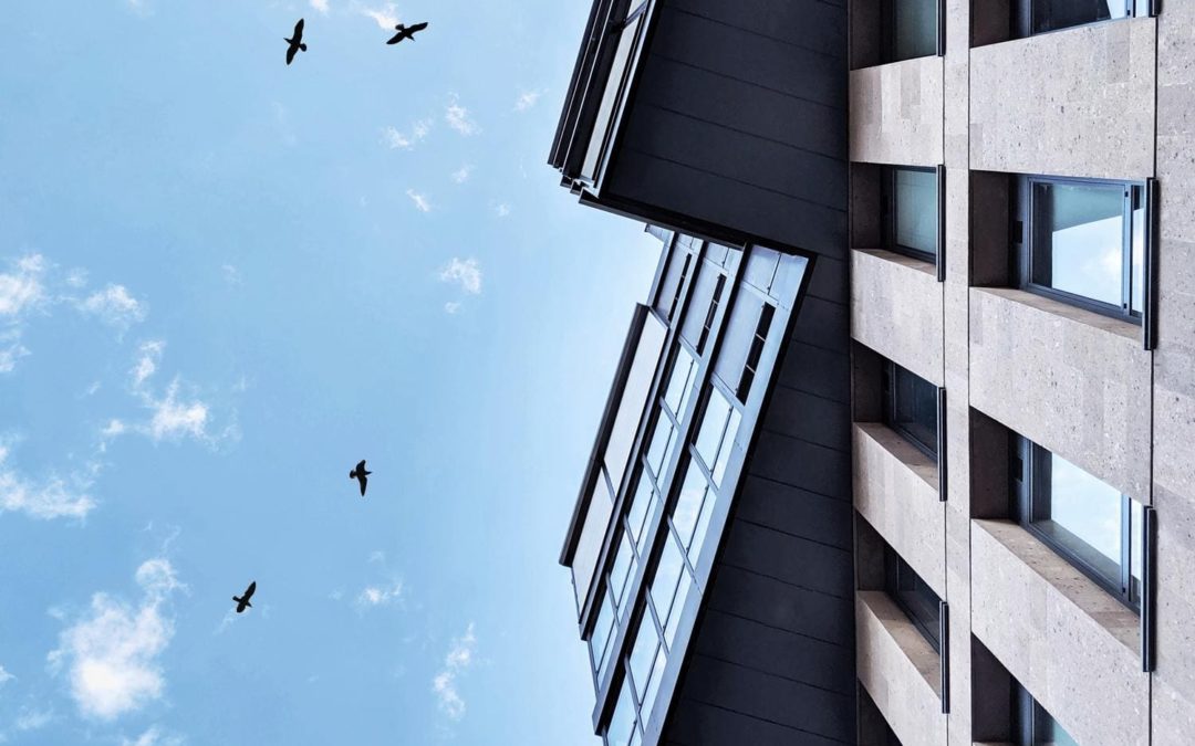 Pourquoi placer son argent dans l’immobilier en 2020 ?