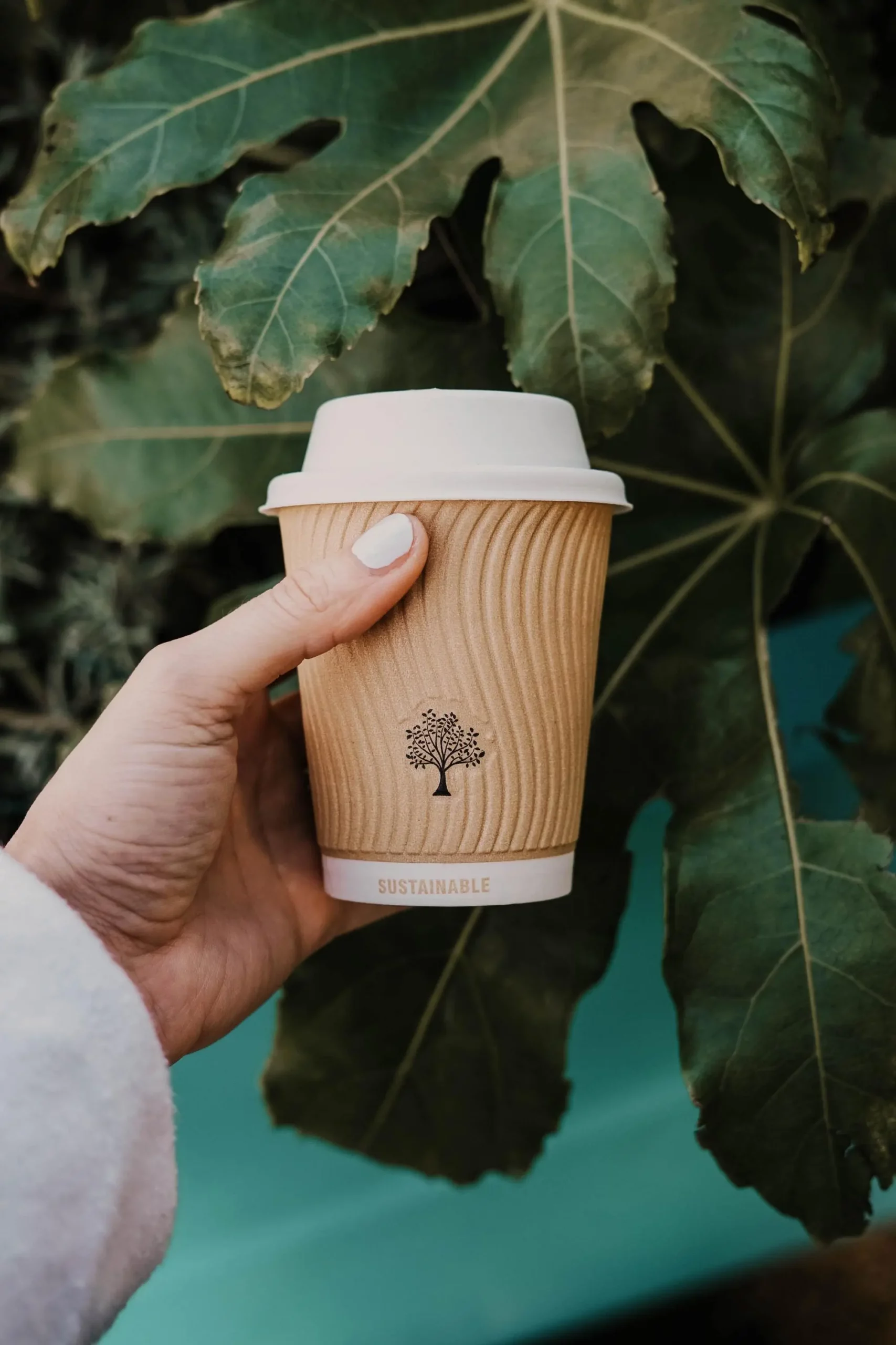 annie-spratt-MChSQHxGZrQ-unsplash